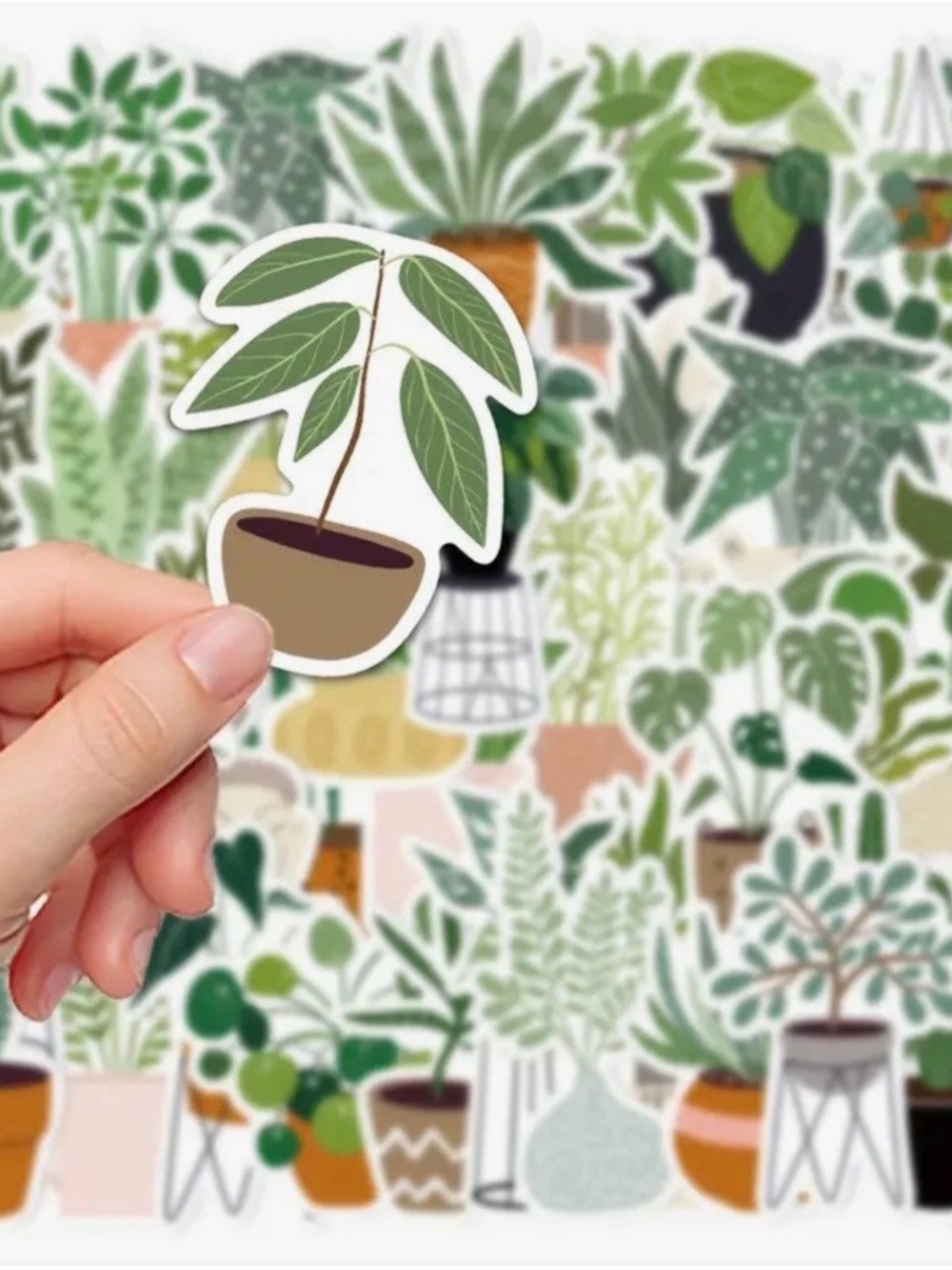 44 Potted Green Plants Stickers Cactus Succulents - Picture 7 of 10